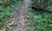 Tocht Stappen Ballancourt-sur-Essonne - Forêt Hospitalière de la Coudraye Ballancourt-sur-Essonne  - Photo 18