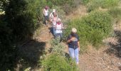 Percorso Marcia Pierrefeu-du-Var - LA PORTANIÈRE LE FEDON - Photo 4