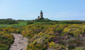 Excursión Senderismo Plévenon - Cap Fréhel - 2017 06 22 - Photo 3