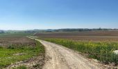 Randonnée Marche Gerpinnes - Les longs Bonniers  - Photo 9