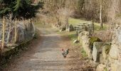 Tocht Stappen Mauléon-Barousse - Mauléon Esbareich Boucle  - Photo 17