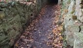 Randonnée Marche Écaussinnes - Tour chateau de la Follie - Photo 6