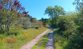 Randonnée Marche Villes-sur-Auzon - entre Auzon et le GR du massif du Ventoux - Photo 15