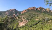 Excursión Senderismo Saint-Raphaël - Les Grues depuis Belle-Barbe - Photo 4