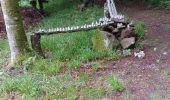Trail Walking Girmont-Val-d'Ajol - herival - Photo 14