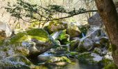 Randonnée Marche Tourves - Tourves- Le Saut du Cabri - Les gorges du Caramy - Photo 11