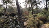 Tocht Stappen Fontainebleau - Rocher Canon - Photo 2