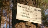 Trail On foot Reutlingen - Gönningen-Hochwiesen Pfullinger Berg - Photo 8