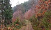 Trail Walking Viroinval - Le Trou du Diable à Oignies en Thiérache - Photo 4