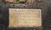 Trail Walking Fontainebleau - Apremont  - Photo 4