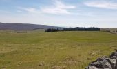 Tocht Stappen Prinsuéjols-Malbouzon - prinsueljols-aubrac etape st Jacques  - Photo 19