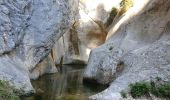 Trail Walking Évenos - Les Gorges du Destrel depuis le  Broussan - Photo 3