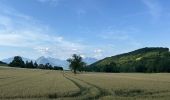 Trail Walking Claix - Colline de Comboire - Photo 16