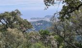 Randonnée Marche Cavalaire-sur-Mer - Cavalaire - oppidum de montjean crête des pradels - Photo 17