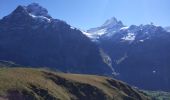 Randonnée Marche Grindelwald - Lacs de Bashsee - Photo 16