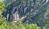 Excursión Marcha nórdica Rosans - Crêtes du raton à partir du col de Pommerol - Photo 4