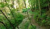 Percorso Marcia Engins - Les gorges du Bruyant - Photo 6