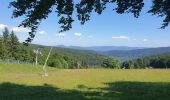 Tour Wandern Schönenberg - Champ du feu - Col de la Charbonnière - Belmont  - Photo 12