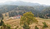 Trail On foot Brasov - Brașov (Solomon) - Poiana sub Padină - Râșnov - Photo 8