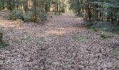 Tour Wandern Saint-Ouen-le-Brisoult - Les Gorges de Villiers - Photo 5