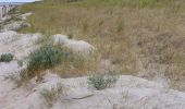 Tour Wandern Notre-Dame-de-Monts - Notre-Dame-de-Monts-Découverte forêt et dunes - Photo 1