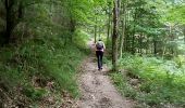Trail Walking Urmatt - Cascade Soultzbach - Urmatt - Photo 6