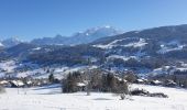 Tocht Sneeuwschoenen Demi-Quartier - Montée chalet de la Vielle-Beauregard-la Ravine. Descente Fouettaz - Photo 6