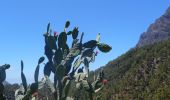 Trail On foot El Paso - Wikiloc - Caldera de taburiente Los Brecitos to Parking Barranco de las Angustias - Photo 15