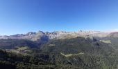 Randonnée Marche Urdos - Plateau de la gentiane - Photo 6