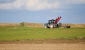 Randonnée A pied Michelstadt - Rundwanderweg Würzberg 3 - Photo 2