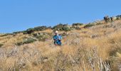 Trail Walking Vialas - mas de la barque - Photo 11