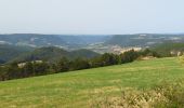 Trail Walking Chadenet - La Loubière - Lanuéjols  - Photo 6