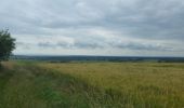 Tour Mountainbike Saint-Clément -  sortie vtt du 17062018 SIONVILLER  - Photo 3