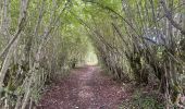 Trail Walking Lacapelle-Viescamp - Boucle du Marais Cassan Calvanhac - Photo 6