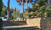 Tour Wandern Bormes-les-Mimosas - Bormes les Mimosas les 3 cols fait - Photo 1