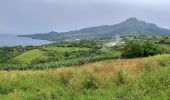 Excursión Senderismo Le Morne-Rouge - Le Morne-Rouge  -  Le  Carbet par Col Yang Ting - Photo 3