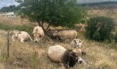 Trail Walking Colombier-le-Vieux - Colombier le Vieux Daronne Azur - Photo 15
