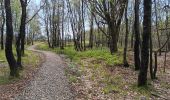 Tour Wandern Spa - berinzenne . andrimont . chevrouhé . hé stienne . malchamps . berinzenne  - Photo 14