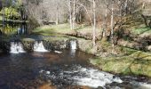 Trail Walking Saint-Angel - Fred St Angel - Photo 1