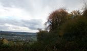 Trail Walking Orival - 20221117-Les Essarts  - Photo 15