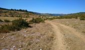 Trail Walking Gorges du Tarn Causses - La Condamine, le Single  - Photo 9