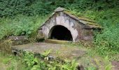 Tour Wandern Champagney - Grotte prisonniers allemands - château Etobon - Etobon - Photo 10