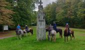 Percorso Equitazione Hinsbourg - 2019-10-11 Rando CVA Moderfeld vers Reipertswiller - Photo 1