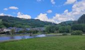 Tour Wandern Vresse-sur-Semois - rando 20 -05-2024 laforêt - Photo 1