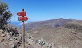 Tocht Stappen Vallehermoso - Canaries - La Gomera  - Valle Gran Rey - jour 6 - Photo 2