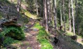 Trail Walking Gemeinde Längenfeld - Huben 12 km - Photo 12