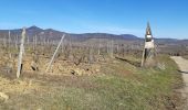 Tour Wandern Mittelweier - Les perles du vignoble  : Mittelwihr - Beblenheim - Zellenberg - Hunawihr - Riquewihr. - Photo 15