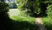 Trail On foot Walhain - #170829 - Nil Pierreux, carrières de quartzite, Moulin d'Al Poudre et Tour des Sarrasins*** - Photo 20