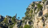 Tour Wandern La Roquebrussanne - 10844300-chapelle st andre ,grotte 400 moutons source oris - Photo 19