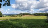 Tocht Te voet Bad Endbach - Wanderweg E9 / Hinterländer Schweiz - Photo 1